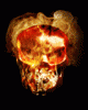 anim176220mobildesign.atw.hu_0499.gif
